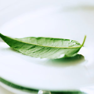 2.6-Dimethyl Pyrazine, Natural