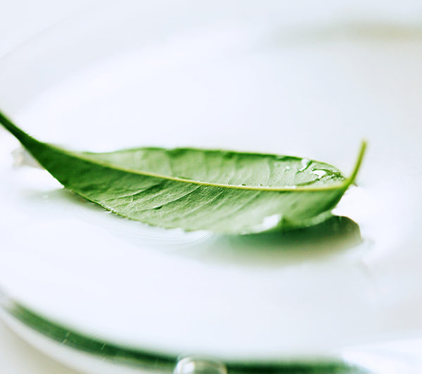 Thiolactic Acid, Natural