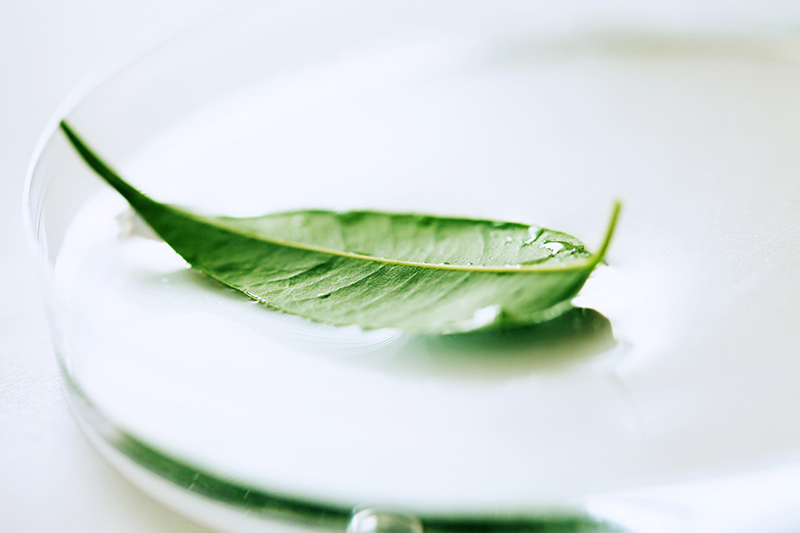 2.3.5-Trimethyl Pyrazine, Natural